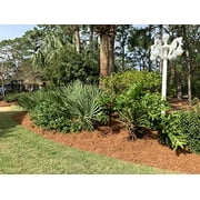 Longleaf Pine Straw Roll for Landscaping - Color UV Resistant - Covers Up to 125 Square Feet